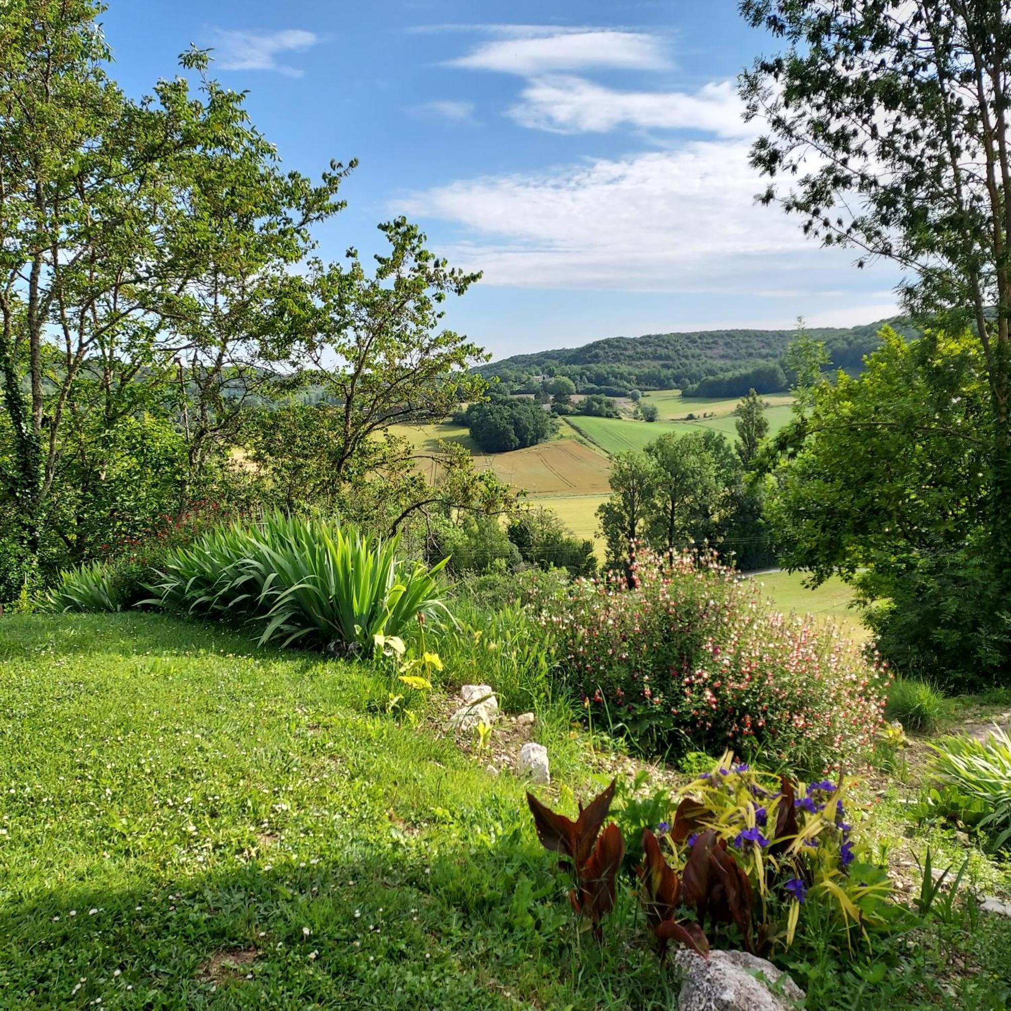 Manoir Le Moulinal47 - Vue Panoramique Hotell Courbiac Exteriör bild